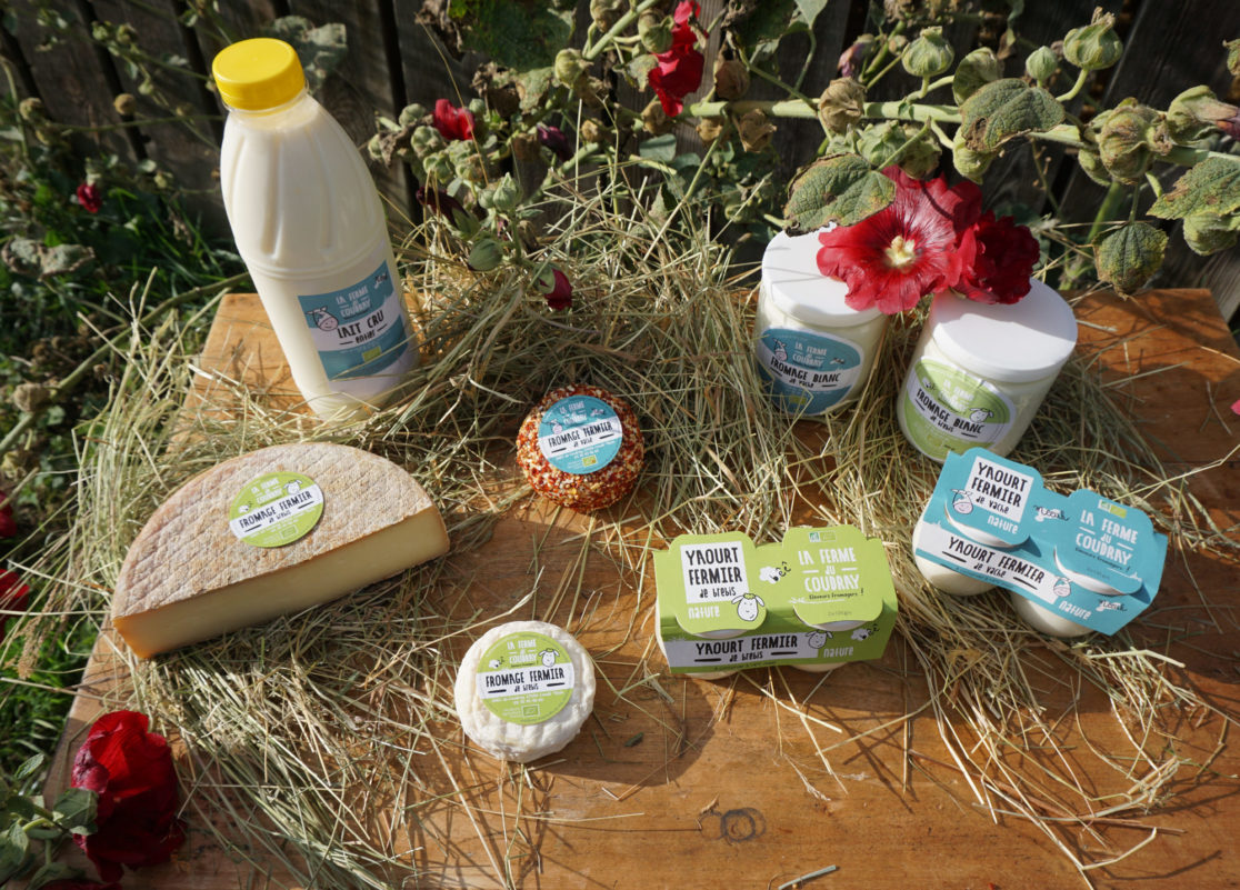 ferme du courdray, produits laitiers, yaourt fermier, lait, fromages fermiers, brebis, vaches, ferme normandie, département de l'eure, packaging, création logo, branding, design graphique, graphic design, entreprise, création identité visuelle, cause sociales, graphiste rouen, graphiste, vanora rolland, vanora graphiste