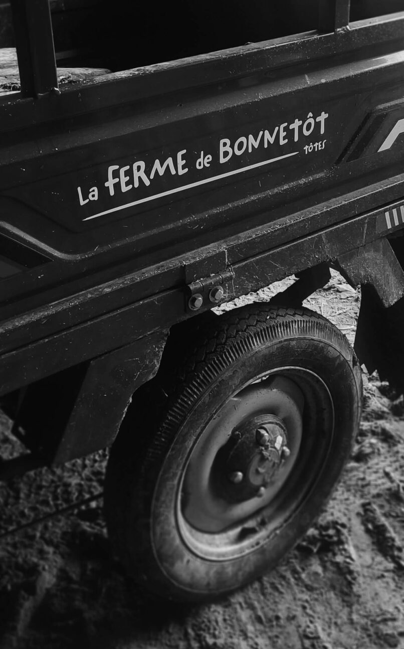 graphisme ferme, identité visuelle producteur, etiquettes alcool, graphisme etiquettes, graphiste pour producteurs, identité visuelle, ferme de bonnetot, vanora graphiste, graphiste normandie, packaging, flocage, véhicule